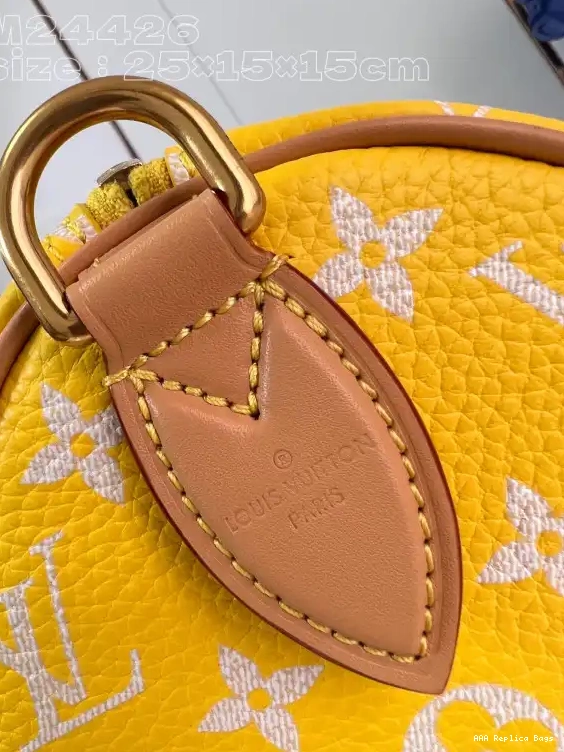 Aaa replica bags 25 Louis SPEEDY Vuitton 0529